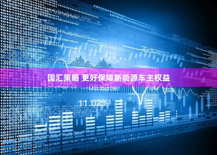 国汇策略 更好保障新能源车主权益