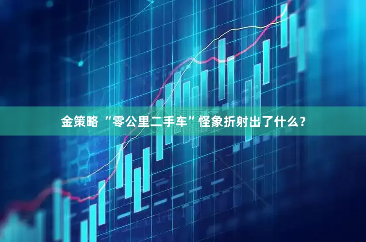 金策略 “零公里二手车”怪象折射出了什么？