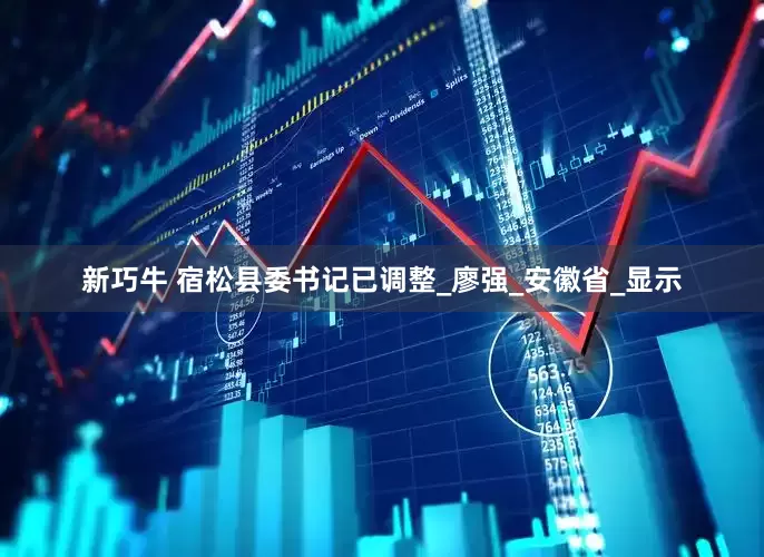 新巧牛 宿松县委书记已调整_廖强_安徽省_显示