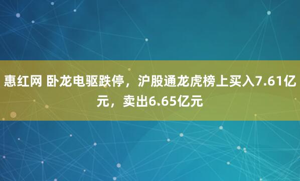 惠红网 卧龙电驱跌停，沪股通龙虎榜上买入7.61亿元，卖出6.65亿元