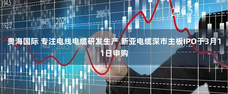 贵海国际 专注电线电缆研发生产 新亚电缆深市主板IPO于3月11日申购